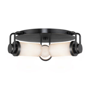 Alora Lighting Wynwood Series FM355317UBGO Flush-Mount