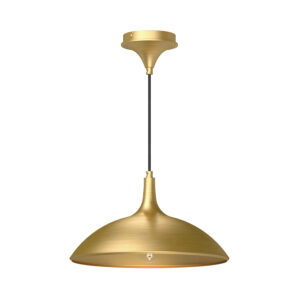 Alora Mood Lighting Abel Series PD627914BG Pendant