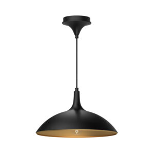 Alora Mood Lighting Abel Series PD627914MB Pendant