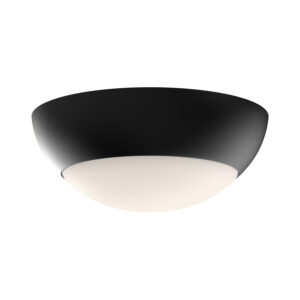 Alora Mood Lighting Rubio Series FM522011MBOP Flush-Mount