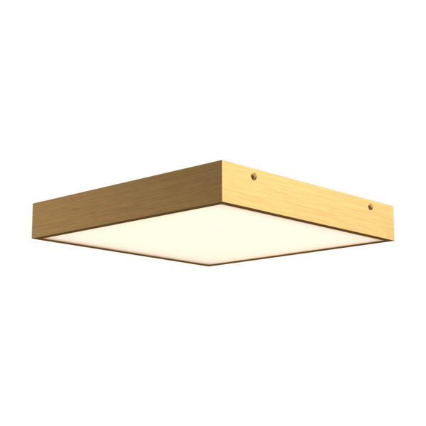 Alora Mood Lighting Sydney Series FM553011AG LED Flush-Mount/ADA Compliant Wall Sconce
